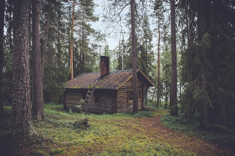 Family Cabin